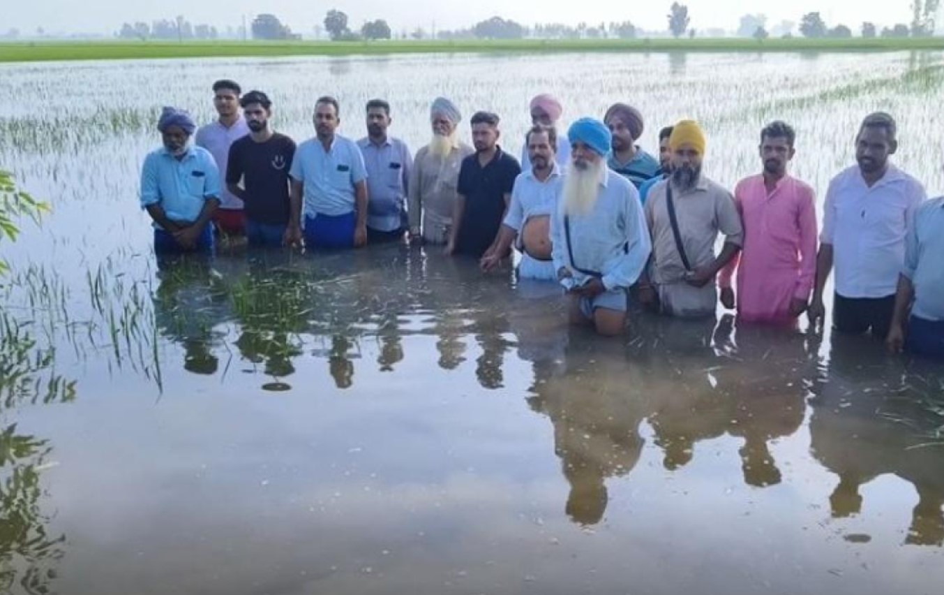ਬਰਨਾਲਾ ਦੇ ਪਿੰਡ ਤਾਜੋਕੇ ਵਿੱਚ ਮੀਂਹ ਨੇ ਮਚਾਈ ਤਬਾਹੀ, 300 ਏਕੜ ਤੋਂ ਵੱਧ ਫ਼ਸਲ ਪਾਣੀ ਹੇਠਾਂ, ਕਿਸਾਨ ਸਰਕਾਰ ਤੋਂ ਰਾਹਤ ਦੀ ਮੰਗ ਕਰਦੇ…