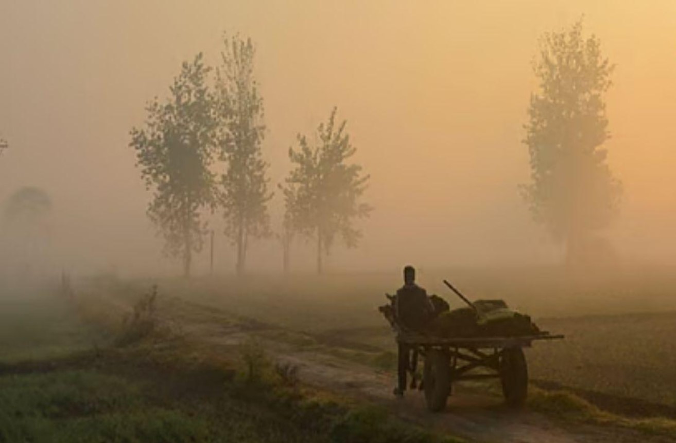 Early Winter in Punjab : ਮੀਂਹ ਤੇ ਠੰਡੀ ਹਵਾਵਾਂ ਨਾਲ ਪੰਜਾਬ ਵਿੱਚ ਸ਼ੁਰੂ ਹੋਈ ਸਰਦੀਆਂ ਦੀ ਦਸਤਕ, ਕਈ ਜ਼ਿਲ੍ਹਿਆਂ ‘ਚ ਤਾਪਮਾਨ ਡਿੱਗਿਆ, ਮੌਸਮ ਵਿਭਾਗ ਨੇ ਜਾਰੀ ਕੀਤਾ ਐਲਰਟ…